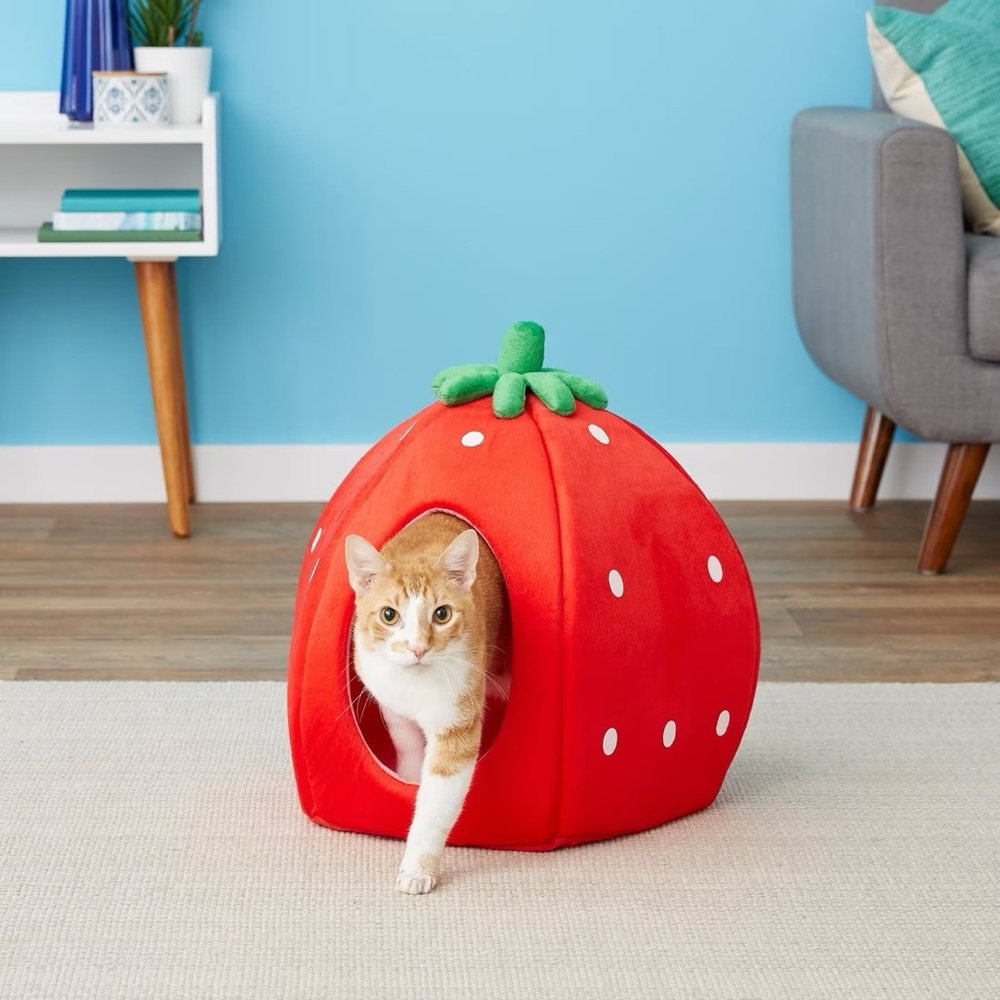 NWOT Strawberry Covered Cat & Dog Bed - YML